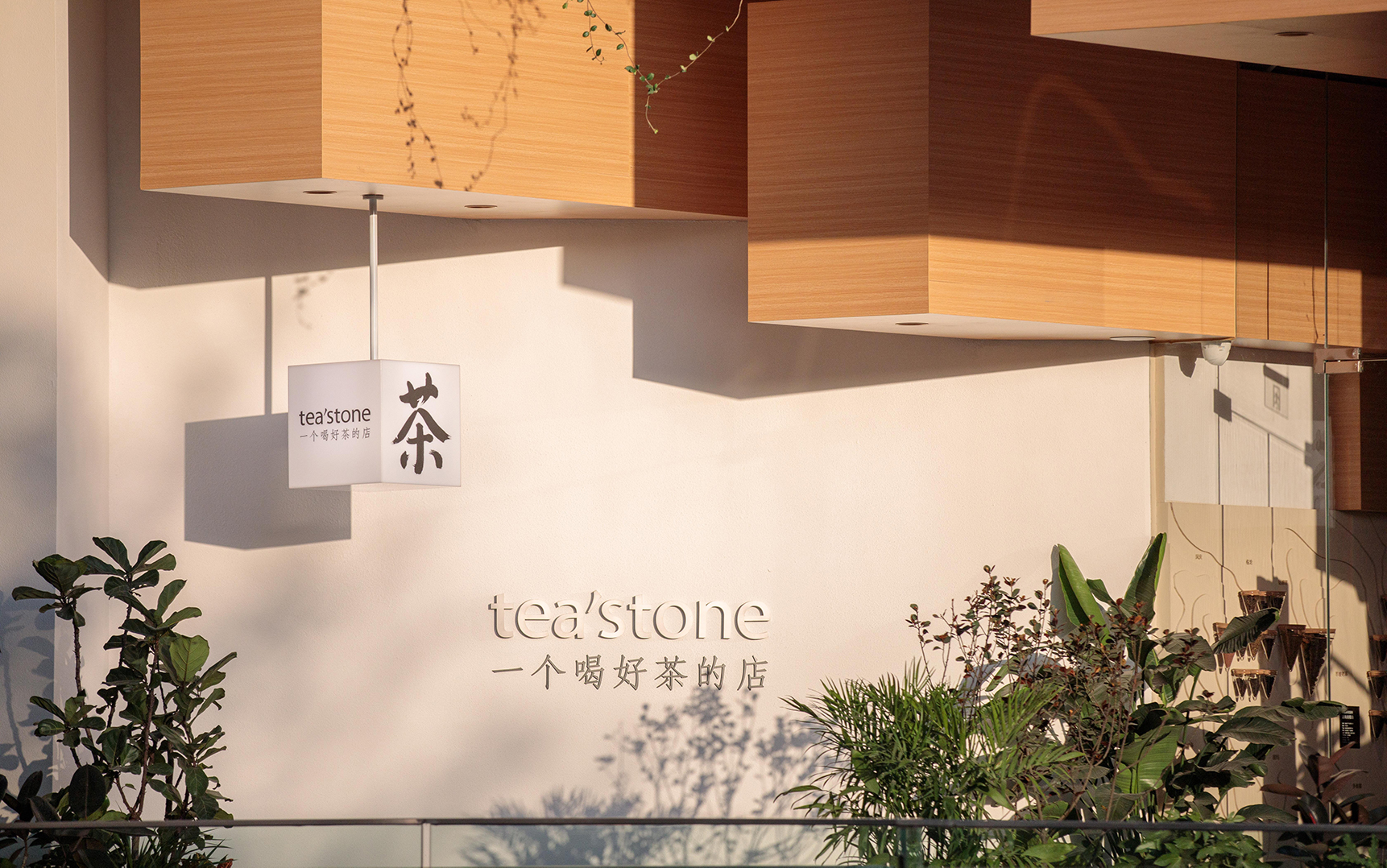 tea'stone：古老的中国茶需要一个年轻的代表品牌｜品牌星球专访 | 品牌星球Brandstar